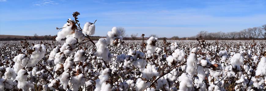 fibres naturelles textiles